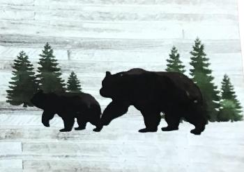 Bear and Cub