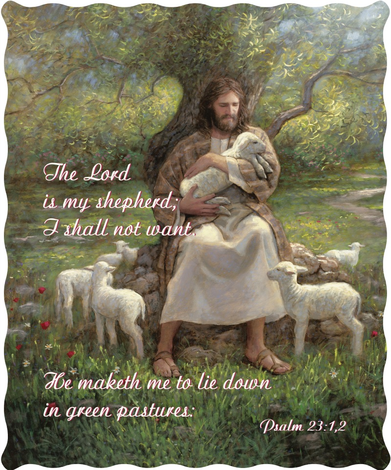 The Lord Is My Shepherd Psalm 23 1 