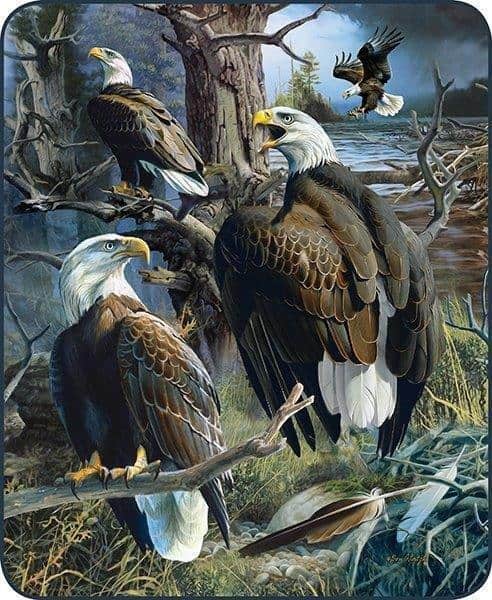 Eagle Collage